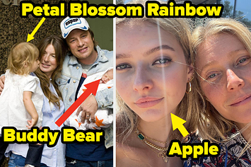 apple and petal blossom rainbow and buddy bear