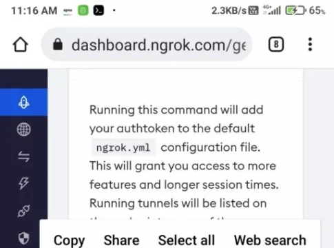 How to install ngrok