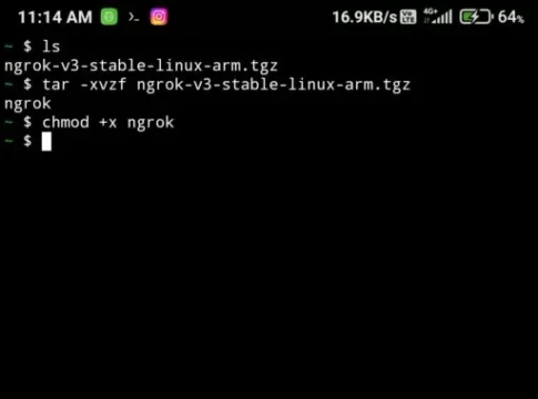 How to install ngrok